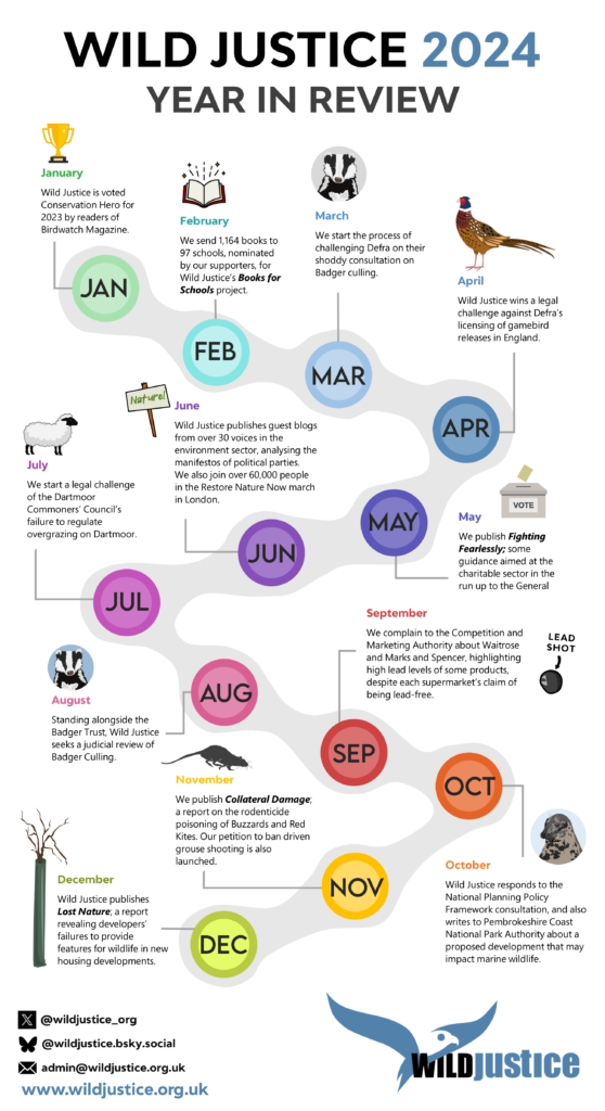 An infographic in the form of a timeline, summarising Wild Justice's work and achievements throughout 2024. 